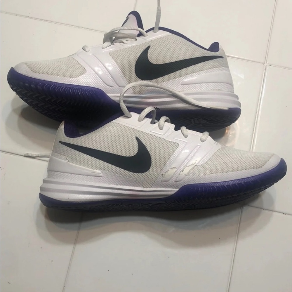 Kobe alphas - Picture 3 of 7